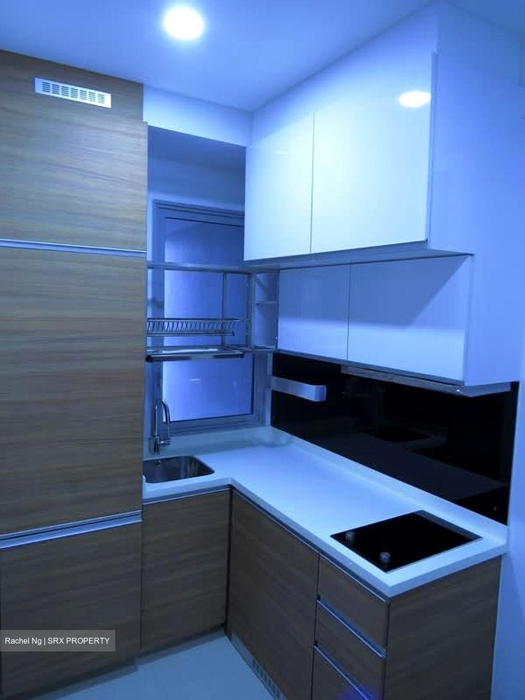 Centra Heights (D14), Apartment #538038591